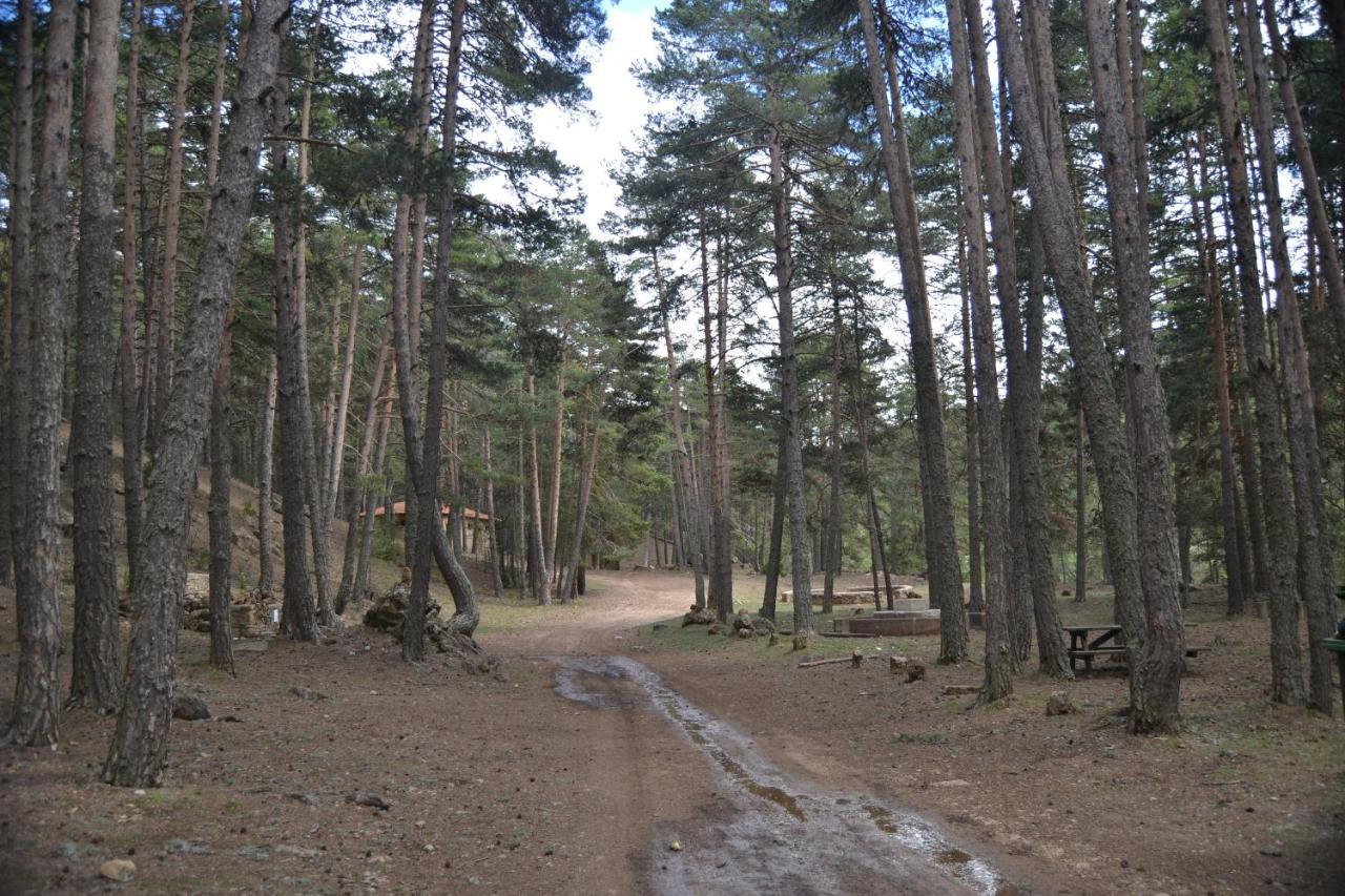 Apartamento Sierra de Gúdar Exterior foto